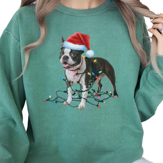 Boston Terrier Christmas Lights Sweatshirt