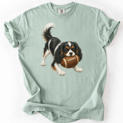 Tricolor Cavalier Football Shirt