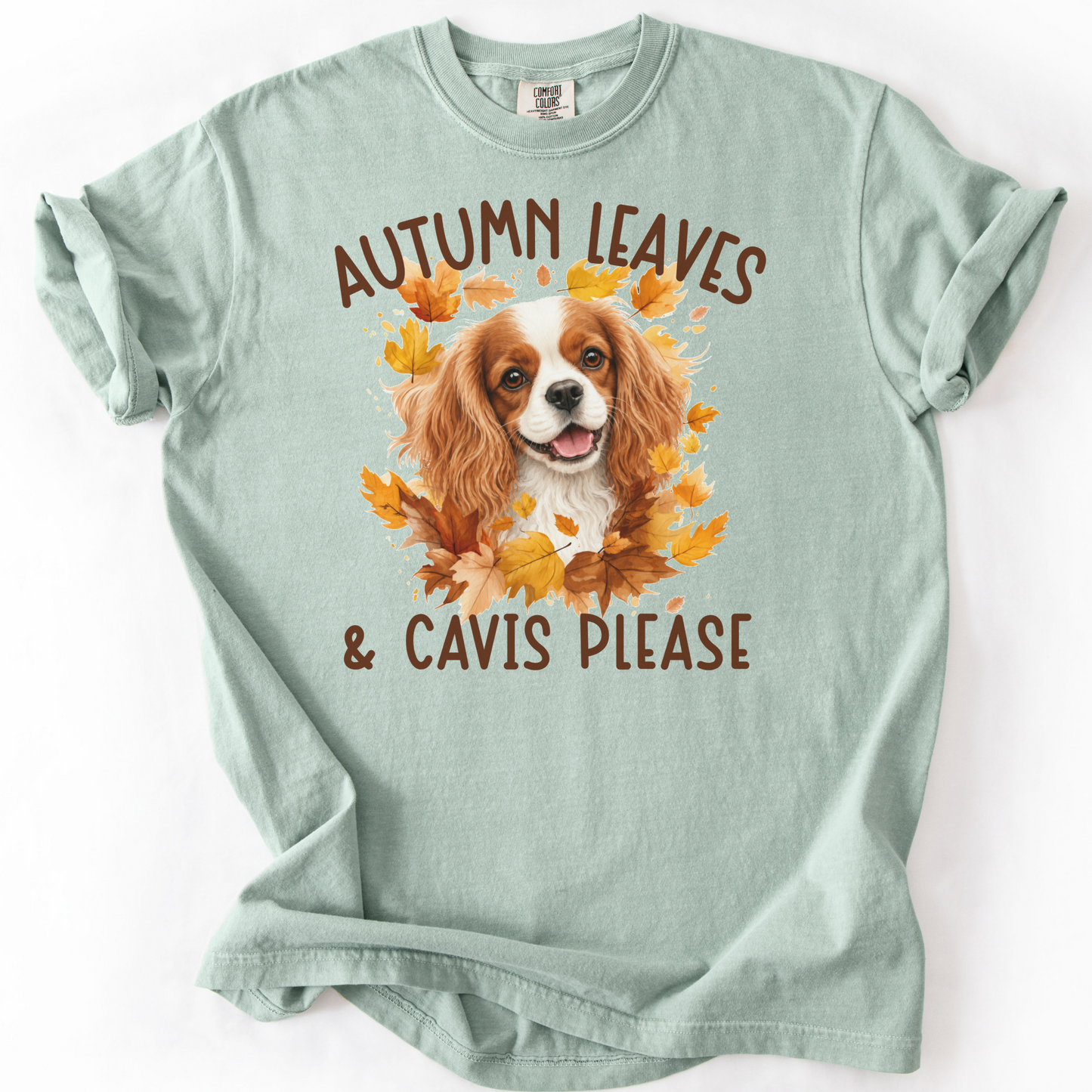 Blenheim Cavalier Mom Fall Shirt, Autumn Leaves & Cavaliers Please