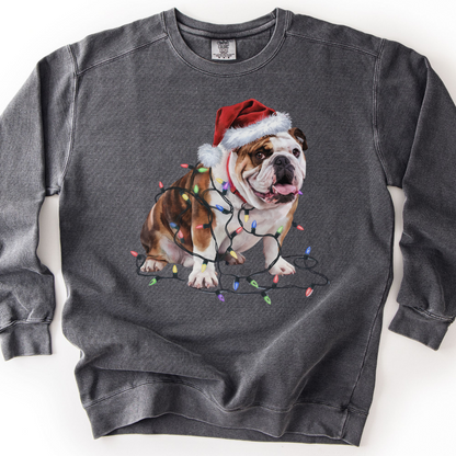 Bulldog Christmas Lights Sweatshirt