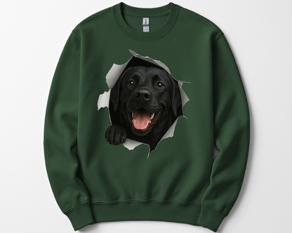 Peeking Labrador Sweatshirt