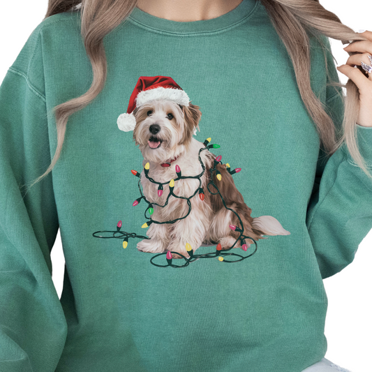 Coton De Tulear Christmas Lights Dog Sweatshirt
