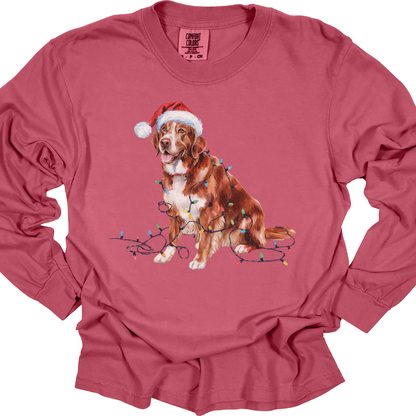 Christmas Nova Scotia Duck Tolling Retriever Long Sleeve Shirt, Festive Dog Lights Tee