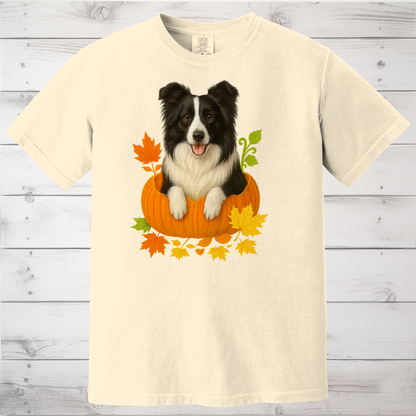 Border Collie in Pumpkin Fall Shirt