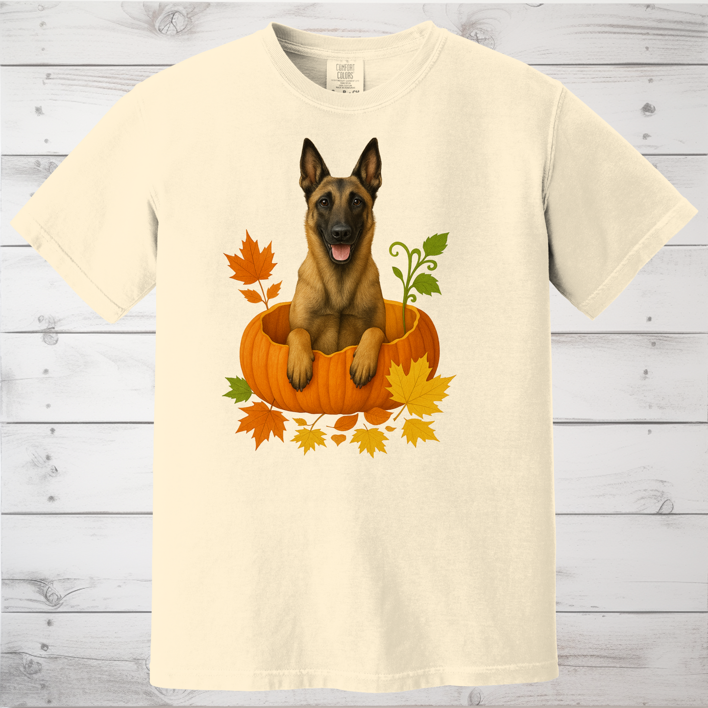Belgian Malinois in Pumpkin Fall Shirt
