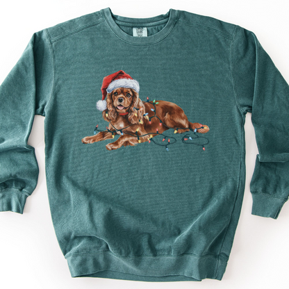 Ruby Cavalier Christmas Lights Sweatshirt