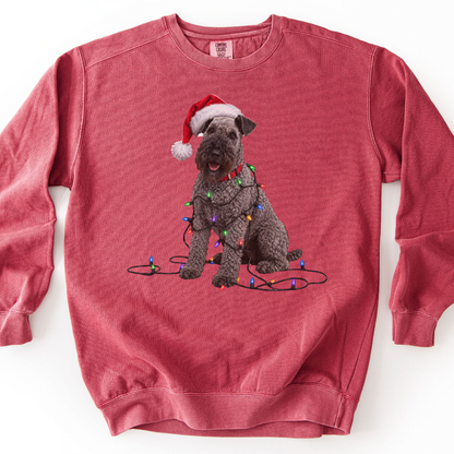 Kerry Blue Terrier Christmas Lights Sweatshirt