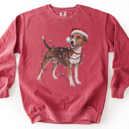Smooth Fox Terrier Christmas Lights Sweatshirt, Festive Dog Lover Apparel