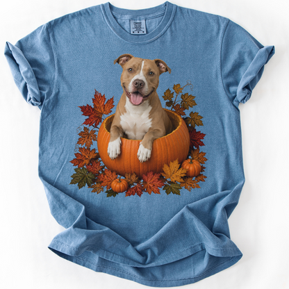 Pitbull Pumpkin Shirt Fall Dog Lover Autumn Comfort Colors Graphic Tee Cozy Gift Apparel