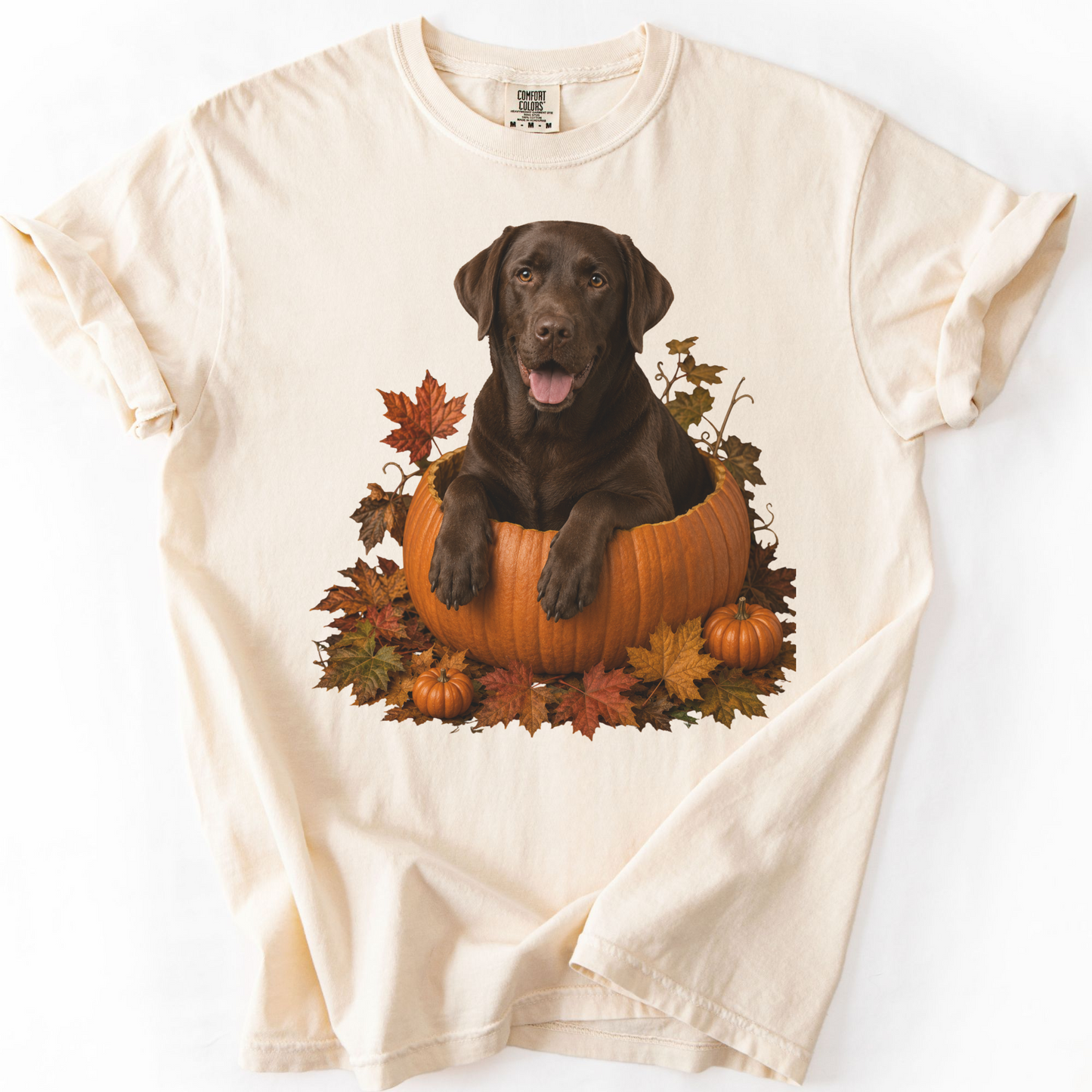 Chocolate Lab Pumpkin Shirt Fall Dog Lover Autumn Labrador Comfort Colors Graphic Tee Gift