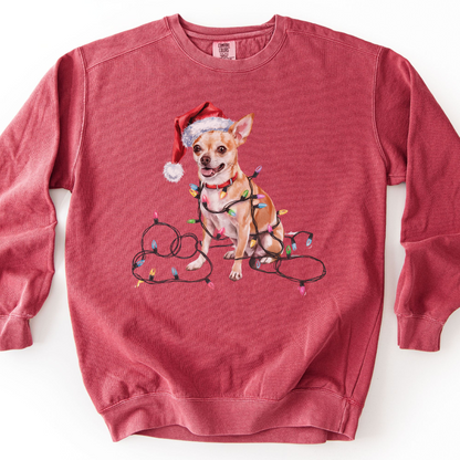 Tan Chihuahua Christmas Lights Sweatshirt