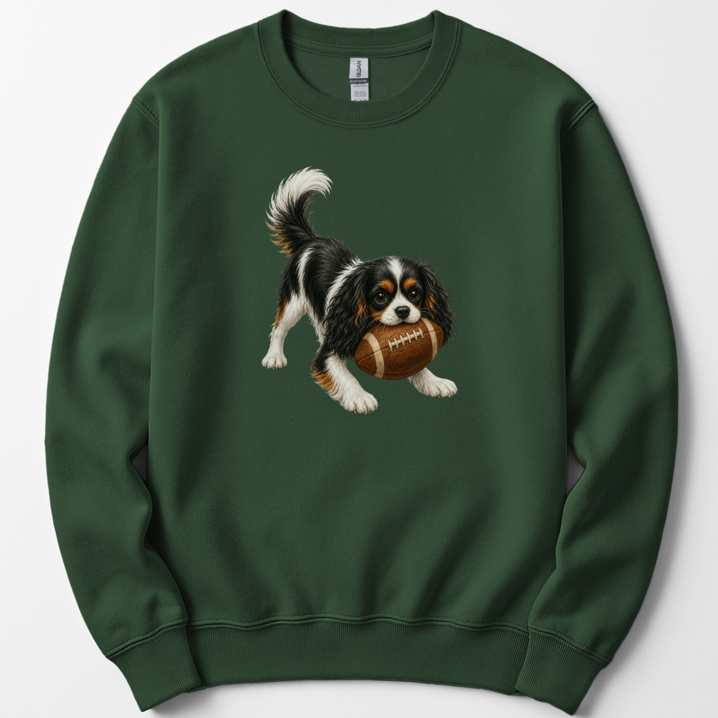 Tricolor Cavalier King Charles Spaniel Football Sweatshirt, Cute Game Day Crewneck for Pet Owners
