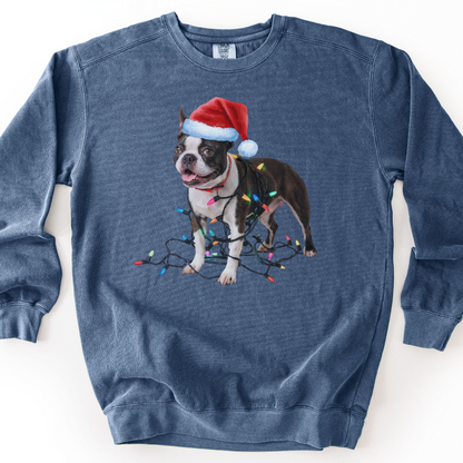 Boston Terrier Christmas Lights Sweatshirt