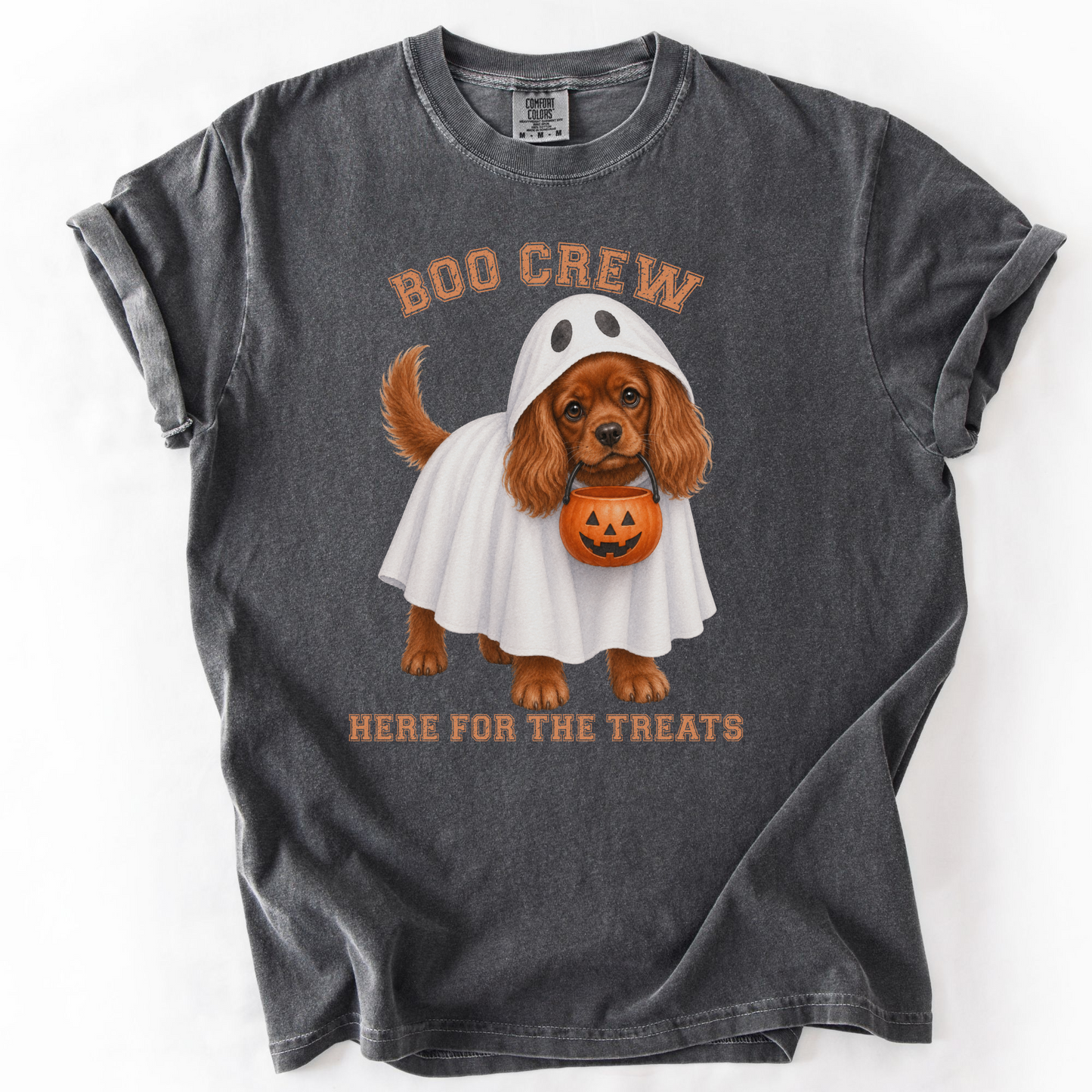 Ruby Cavalier Boo Crew Halloween Shirt, Here for the Treats Dog Mom Tee