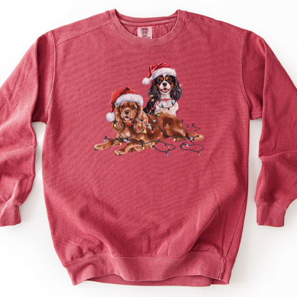 Cavalier King Charles Spaniels Christmas Lights Sweatshirt