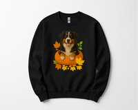 Load image into Gallery viewer, Bernese Mountain Dog Pumpkin Shirt
