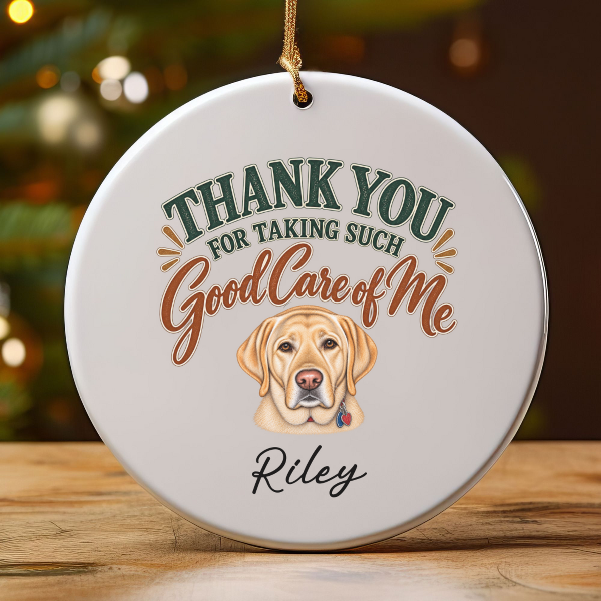 Personalized Veterinarian Ornament, Thank You Vet Gift From Dog, Custom Pet Name Keepsake