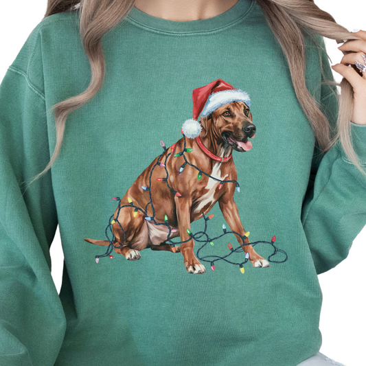 Rhodesian Ridgeback Christmas Lights Dog Sweatshirt, Festive Holiday Pet Lover Gift