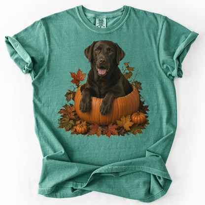 Chocolate Lab Pumpkin Shirt Fall Dog Lover Autumn Labrador Comfort Colors Graphic Tee Gift