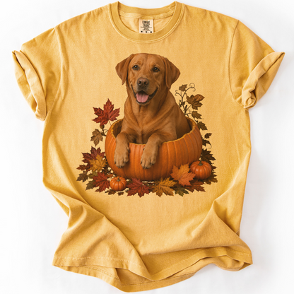 Fox Red Lab Pumpkin Shirt Fall Dog Lover Autumn Labrador Comfort Colors Tee Gift Apparel