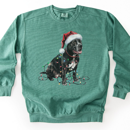 Cane Corso Christmas Lights Sweatshirt