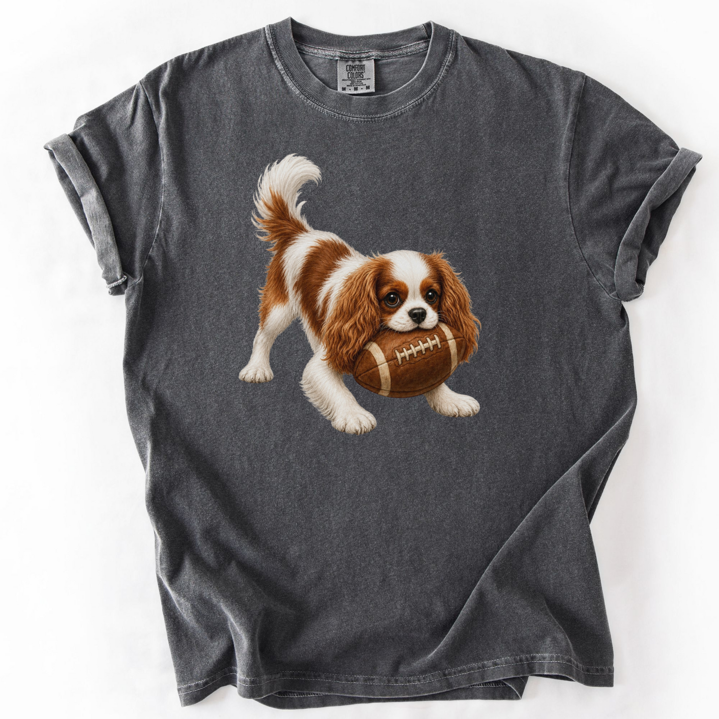 Blenheim Cavalier Football Shirt