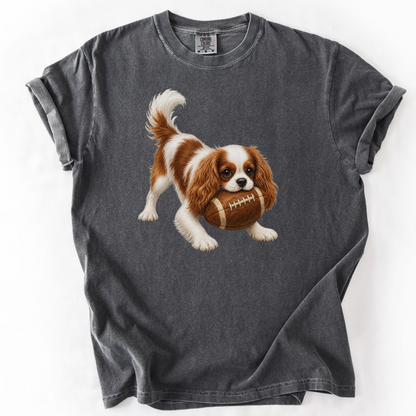 Blenheim Cavalier Football Shirt