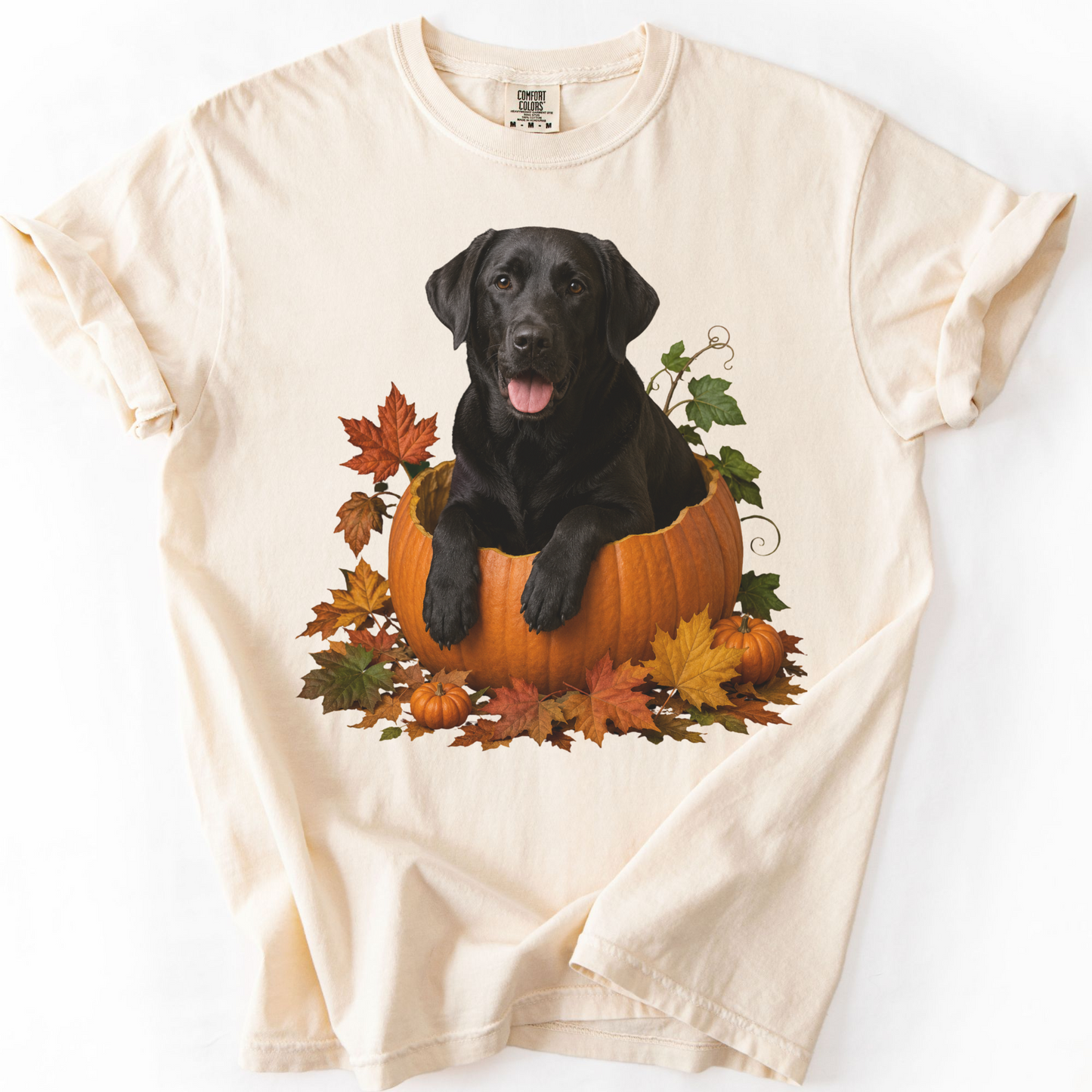 Black Lab Pumpkin Shirt Fall Dog Lover Autumn Labrador Comfort Colors Graphic Tee Gift Apparel