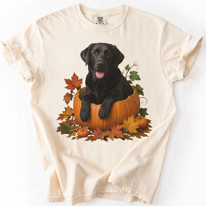 Black Lab Pumpkin Shirt Fall Dog Lover Autumn Labrador Comfort Colors Graphic Tee Gift Apparel