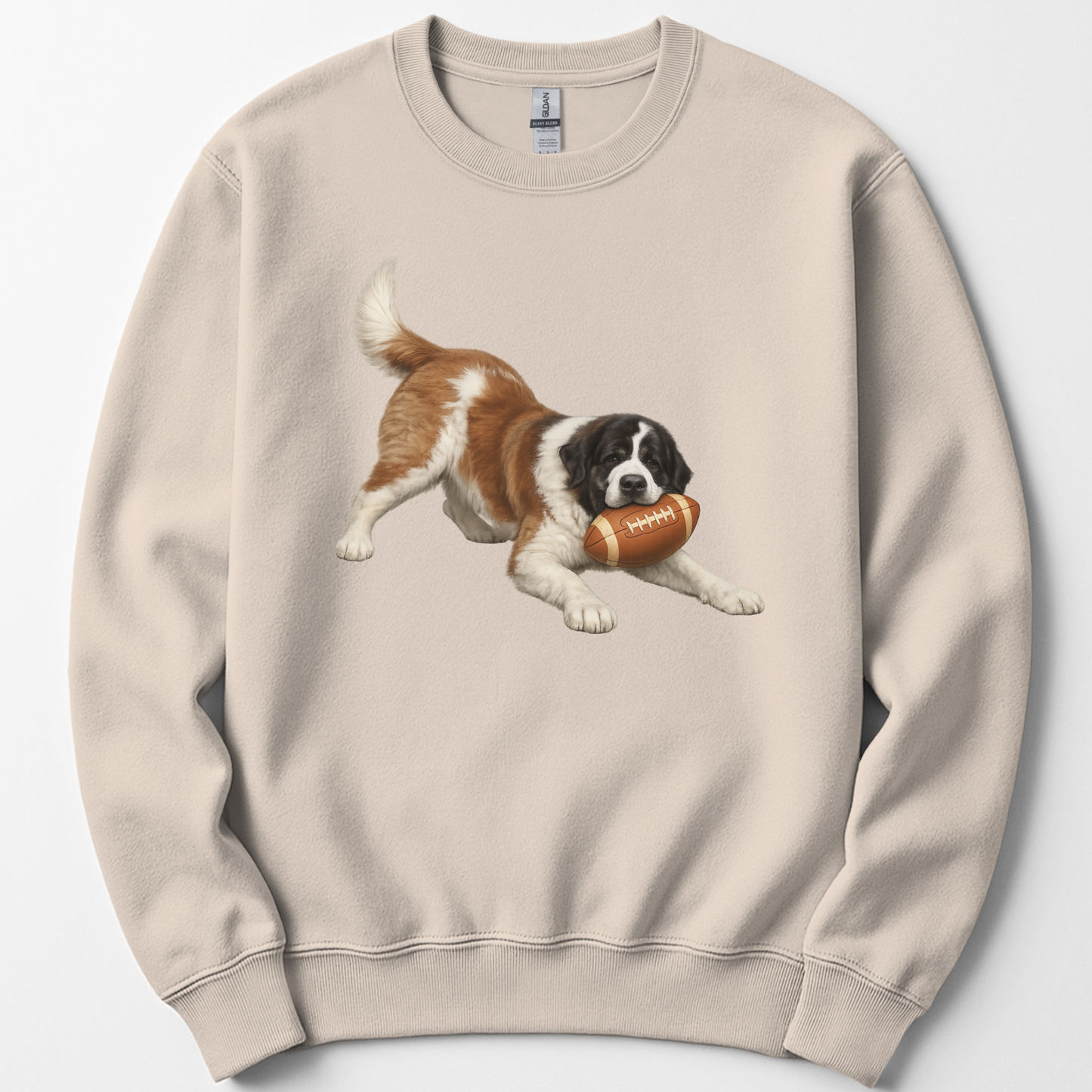 Custom Football Dog Sweatshirt