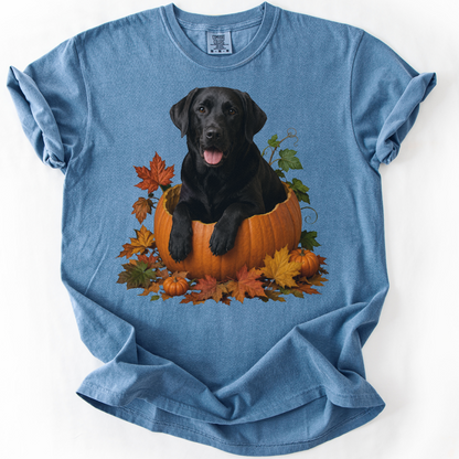 Black Lab Pumpkin Shirt Fall Dog Lover Autumn Labrador Comfort Colors Graphic Tee Gift Apparel