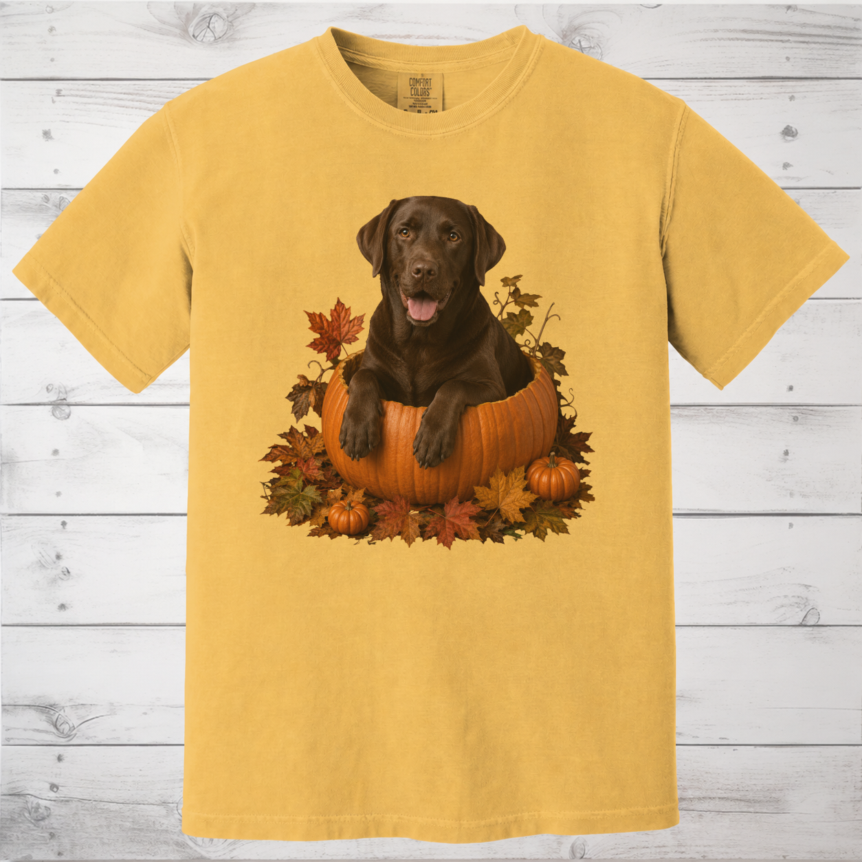 Chocolate Lab Pumpkin Shirt