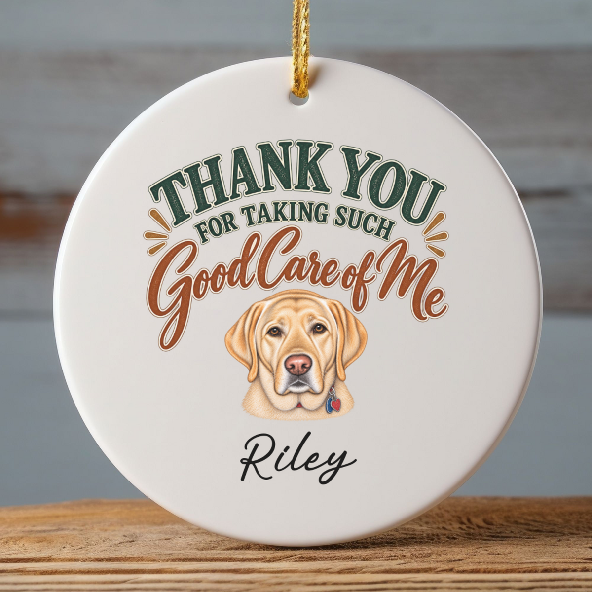 Personalized Veterinarian Ornament, Thank You Vet Gift From Dog, Custom Pet Name Keepsake