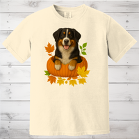 Load image into Gallery viewer, Bernese Mountain Dog Pumpkin Shirt

