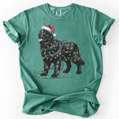 Black Newfoundland Christmas Lights Shirt, Cozy Holiday Tee for Gentle Giant Lovers