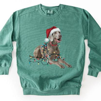Weimaraner Christmas Lights Sweatshirt, Festive Dog Holiday Apparel