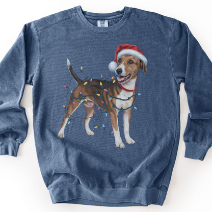 Smooth Fox Terrier Christmas Lights Sweatshirt, Festive Dog Lover Apparel
