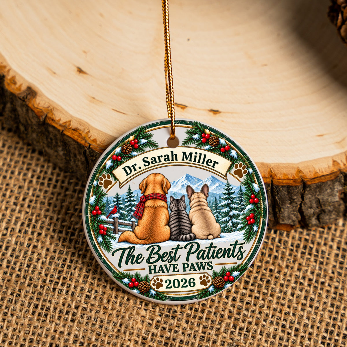 Personalized Veterinarian Ornament, Vet Christmas Gift, Best Vet Gift, Custom Pet Doctor Ornament
