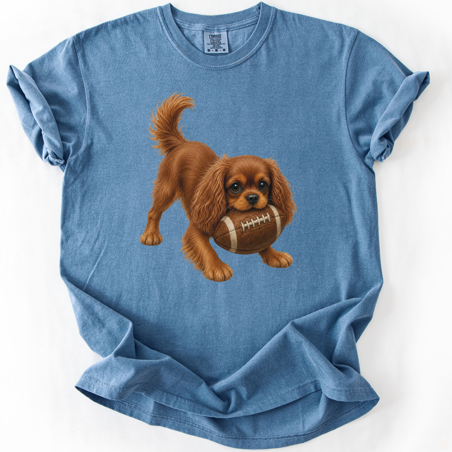 Ruby Cavalier Football Shirt