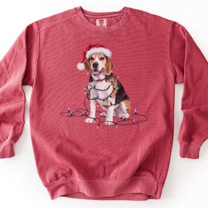 Christmas Beagle Sweatshirt, Holiday Lights Dog, Santa Hat Mom, Dog Lover Apparel
