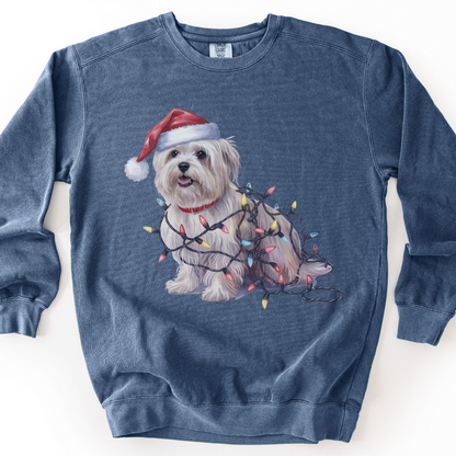 Maltese Christmas Lights Dog Sweatshirt