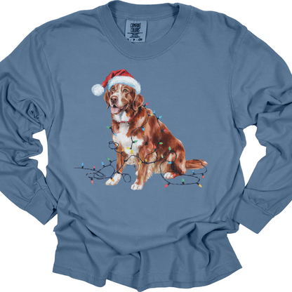 Christmas Nova Scotia Duck Tolling Retriever Long Sleeve Shirt, Festive Dog Lights Tee
