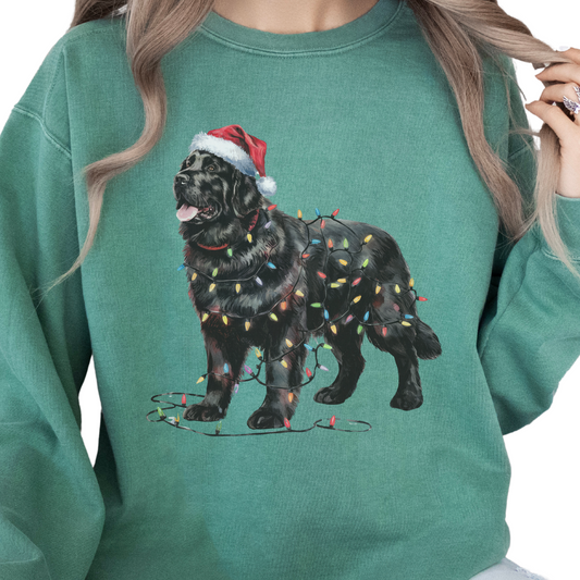 Newfoundland Dog Christmas Lights Sweatshirt, Festive Black Newf Sweater
