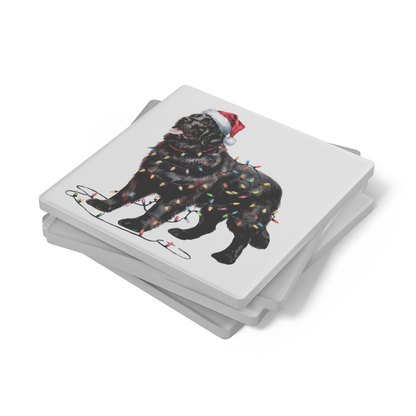 Black Newfoundland Christmas lights Dog Coasters