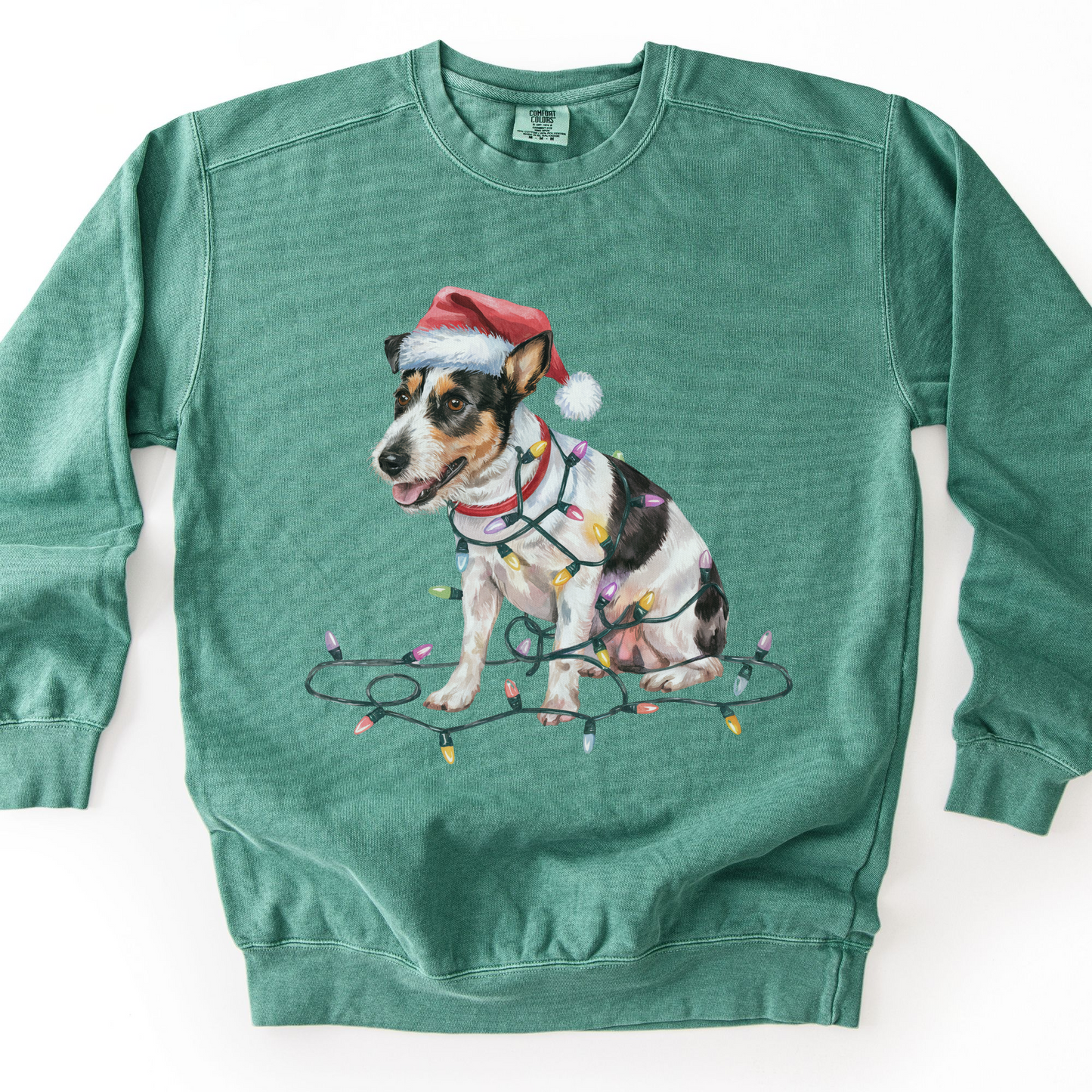 Rat Terrier Christmas Lights Sweatshirt, Festive Dog Lover Apparel