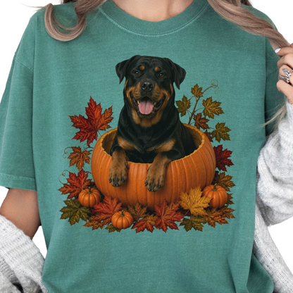 Rottweiler Pumpkin Fall T-Shirt, Cute Autumn Dog Lover Tee & Thanksgiving Gift