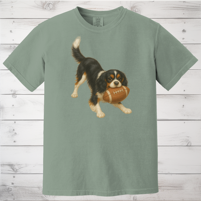 Tricolor Cavalier Football Shirt