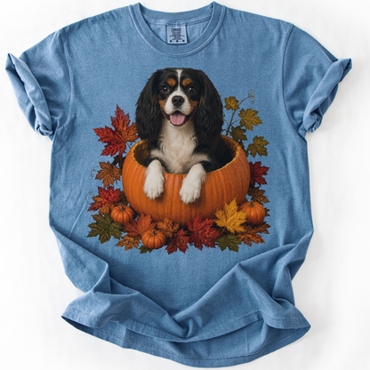 Tricolor Cavalier King Charles in Pumpkin Fall Shirt, Cute Autumn Dog Tee for Spaniel Moms