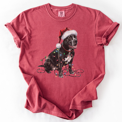 Christmas Cane Corso Shirt, Christmas Lights Dog Shirt, Christmas Dog, Cane Corso Mom Shirt, Gift for Dog Lover, Cane Corso