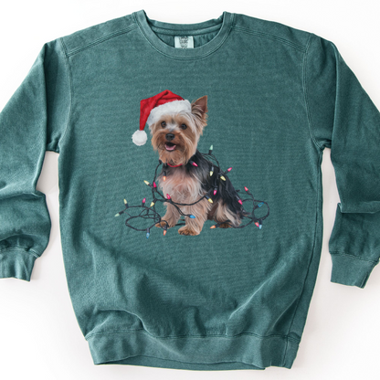 Christmas Yorkshire Terrier Sweatshirt, Festive Dog Lights, Yorkie Mom Holiday Apparel